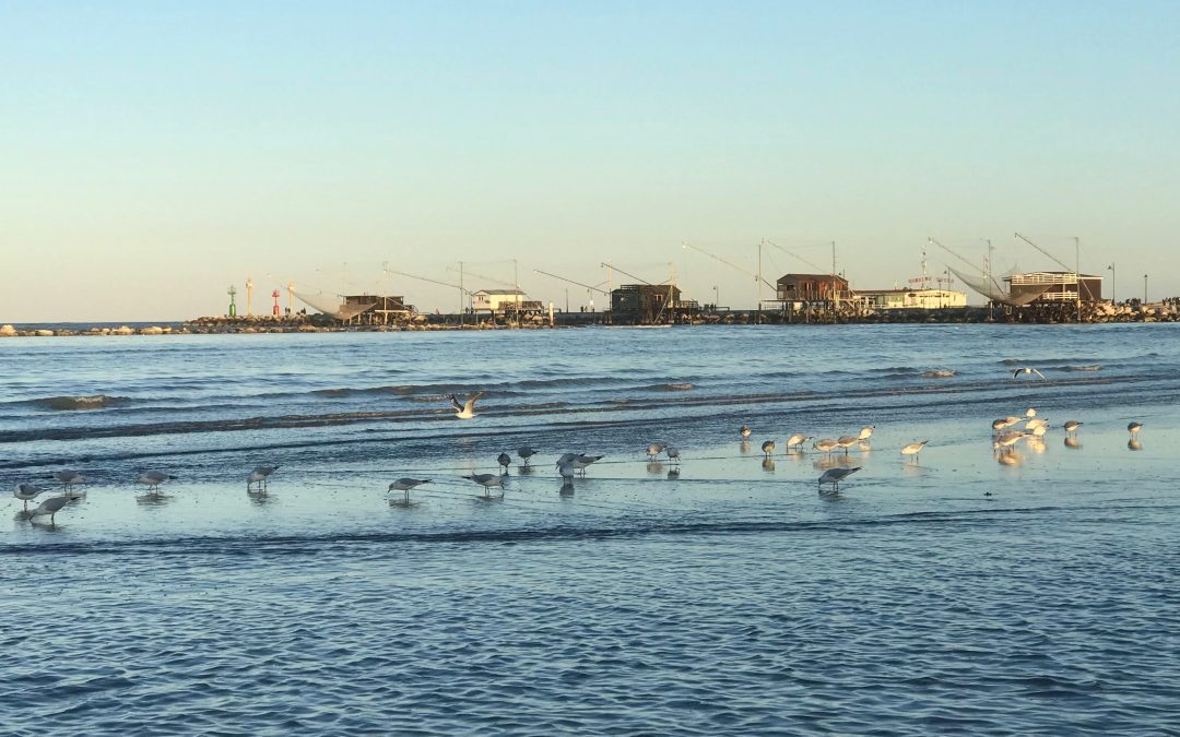 Gli uomini e il mare